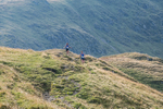 HBMR-Leg 4-129