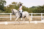 SBM_008806