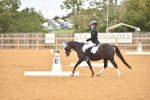 SBM_03640