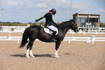 SBM_04189