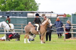 SBM_08184