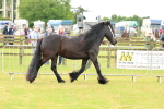 SBM_00478