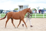 SBM_05753
