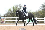 DR Novice 34 portfolio