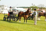 SBM_00337
