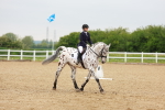 SBM_005934