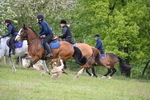WJ6_1404