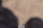 240706A-150444-03409