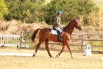 SBM_000402