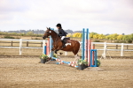 SBM_005858