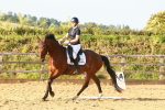 SBM_000554