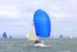 170701 SCALLION 2522R RTI_1236_Edit