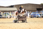 SBM_003202