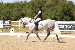 SBM_012391