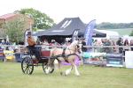 SBM_05626