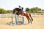 SBM_002854