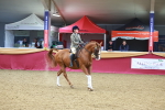 SBM_06087