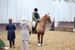 SBM_003085