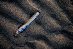 Razor Clam 01 C