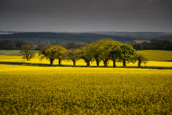 Far from a Pleasant view