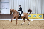 SBM_004031