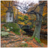 The Tower, Ivy Bridge, Tollymore Forest (IMG1103)