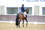 SBM_002829