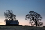 Trees and Barn, Peak District