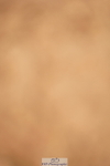 240526A-091916-07074