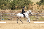 SBM_001537