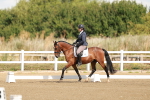 SBM_000233