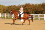 SBM_008795