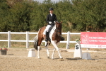 SBM_015115