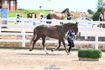 240717A-151414-02665_Trot Up 3pm to 4pm