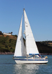 140729 PELION WT7A1616
