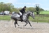 BPP_4603