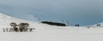 Loch Droma Pano