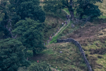 Arnison Crag-12
