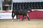 SBM_05035