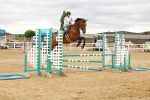 SBM_001697