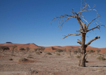 Namib Desert Namibia