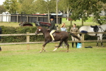 SBM_71654