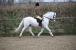 SBM_006034