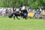 SBM_07990