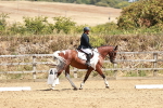 SBM_002819
