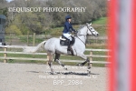 BPP_2984