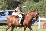 JPP_2008