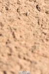 230811A-125124-04976
