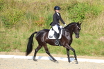 3E7A3799