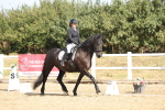 SBM_008551